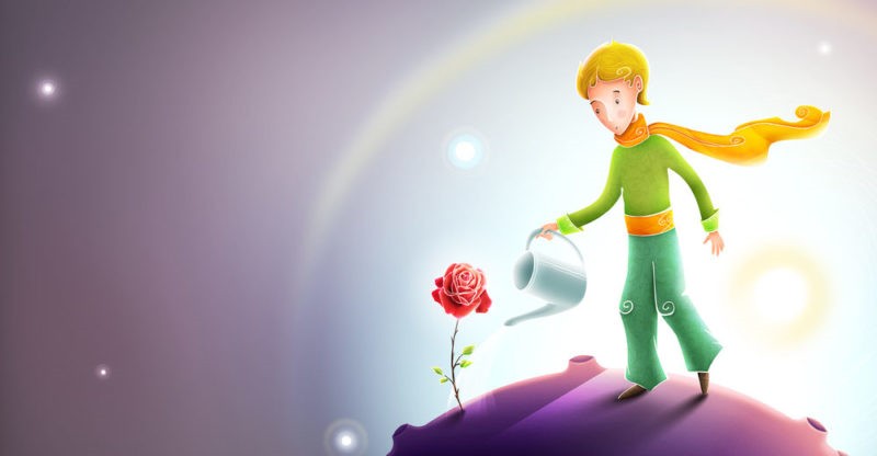 Little prince caring for his rose