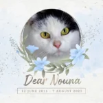 dear nouna