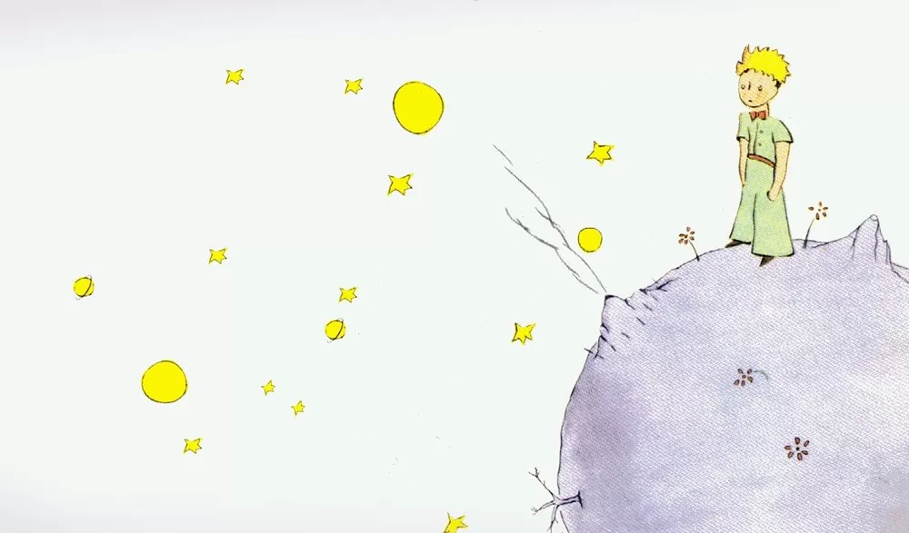 little prince looking at stars