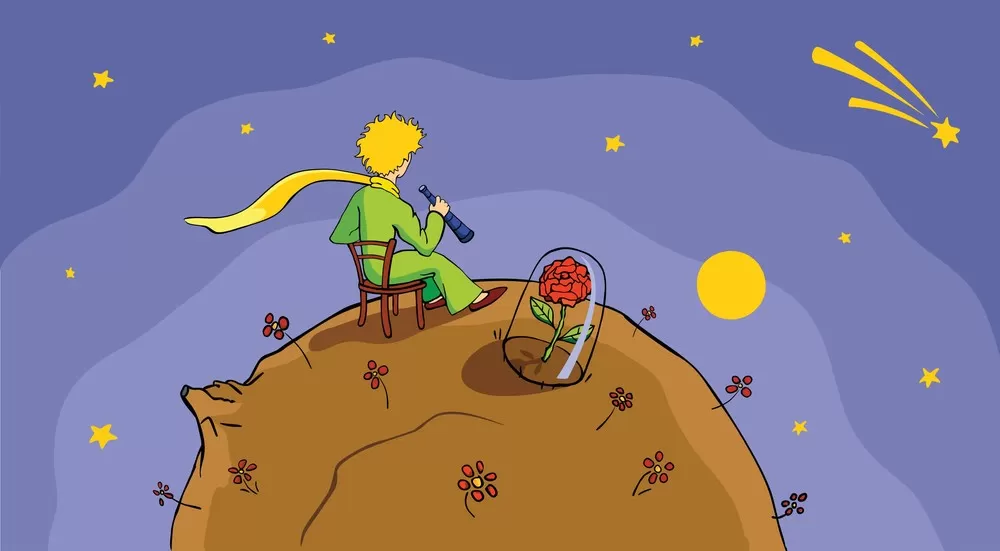little prince watching illustration s